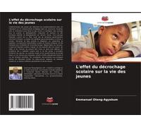 L'effet Du Décrochage Scolaire Sur La Vie Des Jeunes (French Edition)