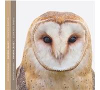 Subrosa – L'Effet Rebond – CD – Version Silicium / Version Iridium