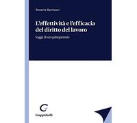L'effettività e l'efficacia del diritto del lavoro. Saggi di un quinquennio
