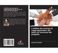 L'effetto Dei Principi Di Raggruppamento Del Team Sul Successo Del Progetto