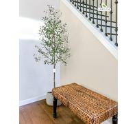 Leflos 210cm Indoor Olivier réaliste, Arbres artificiels pour l'intérieur Seulement, avec Tronc Vivant, Branche Ajustable et Olives dodues, 1-pièce