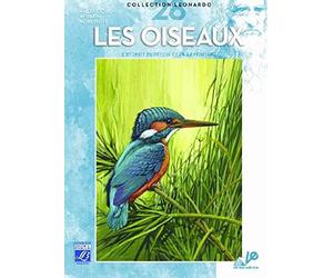 Lefranc Bourgeois Album Léonardo N°28 Les Oiseaux