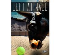 Left at Wall [DVD] [Region Free]