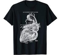 Left Chamber of The Human Heart Anatomy Tee T-Shirt Manches Courtes(XX-Large)