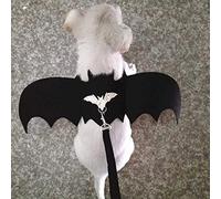 Leftwei Gilet Harnais pour Animaux de Compagnie, avec Ailes de Chauve-Souris, Laisse, Costume Mignon pour Chats et Chiens, Design Doux et Respirant (S)