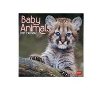 Legami - Calendrier 2027 Mural, Baby Animals, 12 Mois, 30 x 29 cm