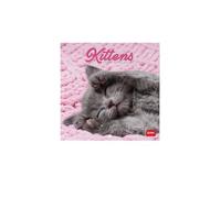 Legami - Calendrier 2027 Mural, Kittens, 12 Mois, 18 x 18 cm