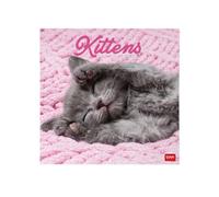 Legami - Calendrier 2027 Mural, Kittens, 12 Mois, 30 x 29 cm