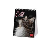 Legami - Calendrier de Bureau 2026, Cats, 12 Mois et Calendrier Annuel, en 6 Langues, Signes du Zodiaque, Fêtes Internationales, 12 X 14,5 Cm.