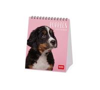 Legami - Calendrier de Bureau 2026, Puppies, 12 Mois et Calendrier Annuel, en 6 Langues, Signes du Zodiaque, Fêtes Internationales, 12 X 14,5 Cm.