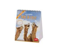 Legami - Calendrier de table 2026, Take It Easy, calendrier de bureau, 12 mois et planificateur annuel, en 6 langues, signes du zodiaque, jours fériés internationaux, 12 x 14,5 cm