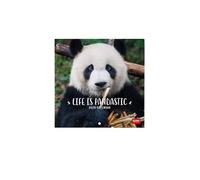 Legami - Calendrier mural 2025, calendrier mural 18 x 18 cm, 12 mois et planificateur annuel, espace pour notes et notes, 6 langues, signes du zodiaque et fêtes internationales, Life is Pandastic