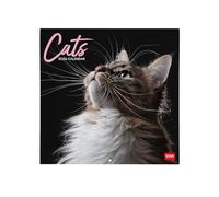 Legami - Calendrier mural 2026, Cats, grand calendrier mural, 12 mois et année, en 6 langues, espace pour notes, signes du zodiaque, jours fériés internationaux, 30 x 29 cm