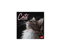 Legami - Calendrier Mural 2026, Cats, Petit Calendrier Mural, 12 Mois et Planificateur D'année, En 6 Langues, Espace pour Notes, Signes du Zodiaque, Jours Fériés Internationaux, 18 X 18 Cm