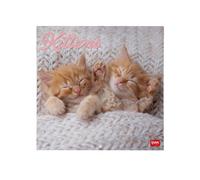 Legami - Calendrier mural 2026, Kittens,grand calendrier mural, 12 mois et année, en 6 langues, espace pour notes, signes du zodiaque, jours fériés internationaux, 30 x 29 cm