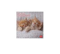 Legami - Calendrier Mural 2026, Kittens, Petit Calendrier Mural, 12 Mois et Planificateur D'année, En 6 Langues, Espace pour Notes, Signes du Zodiaque, Jours Fériés Internationaux, 18 X 18 Cm