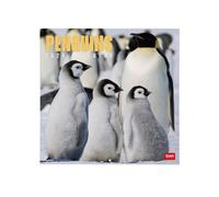 Legami - Calendrier mural 2026,Penguins, grand calendrier mural, 12 mois et année, en 6 langues, espace pour notes, signes du zodiaque, jours fériés internationaux, 30 x 29 cm