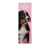 Legami - Calendrier mural 2026, Puppies, petit calendrier mural, 12 mois et planificateur d'année, en 6 langues, espace pour notes, signes du zodiaque, jours fériés internationaux, 16 x 49 cm