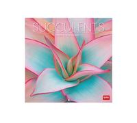 Legami - Calendrier mural 2026, Succulents, grand calendrier mural, 12 mois et planificateur d'année, en 6 langues, espace pour notes, signes du zodiaque, jours fériés internationaux, 30 x 29 cm