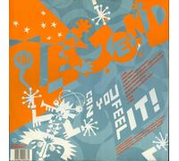 Legend - Can You Feel it (Champion Megamix) [Import]