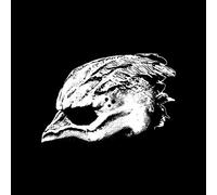 Legend of the Seagullmen