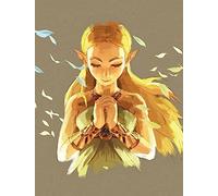 Legend of Zelda: Breath o. t. W. Erw LB
