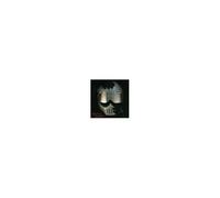 Lou Reed – Legendary Hearts – BMG