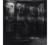 Legendary Pink Dots - Synaesthesia [Import]