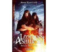 Légendes d'Ashur-Sîn - Tome 3 Dingirsigs