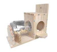 Légèreté pour les écureuils - Boîte d'alimentation résistante - Solution fiable pour nourrir et observer les écureuils - Design en bois pratique à fixer à l'arbre - Accessoire