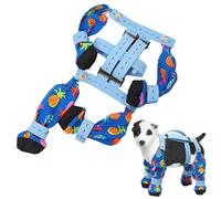 Legging anti-Slip Dog Start, protection pour chiens de petite, moyenne et grande taille