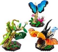 LEGO Ideas The Insect Collection, Fun Gift for Nature Lovers, with Life-Size Blue Morpho Butterfly, Hercules Beetle and Chinese Mantis Display Models, Bug Building Set and Nature Décor, 21342