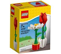 LEGO Flower Display (40187) 100 Piece Set