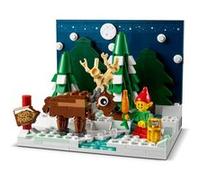 LEGO® 40484 Le jardin du Père Noël G