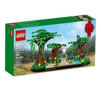 LEGO – Hommage à Jane Goodall – 40530