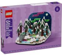 LEGO 40785 Diorama des Aurores Boréales - Set Collector Nature - 332 pièces - Décoration à Exposer - Édition 12+