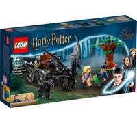 LEGO 76400 Harry Potter Carrosse de Poudlard avec Thestralen, ensemble de jouets avec minifigures, comme Luna Lovegood et des figurines de chevaux, idée cadeau