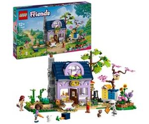 LEGO "Amis - Maison de l''apiculteur et jardin de fleurs, Jouets de construction"