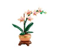LEGO BOTANICALS 10343 L’orchidée miniature Cadeaux Jouets Objets de collection 18+