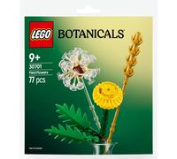 LEGO Botanicals Domaine Fleurs Sac en Plastique Set 30701