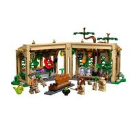 LEGO Constructions HARRY POTTER Château De Hogwarts : Leçon D'Herbologie
