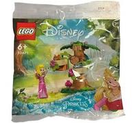 LEGO Jouet de construction 30671 – Aire de jeu d'Aurore, 60 pièces – Disney Princesses