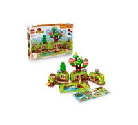 LEGO DUPLO 10480 Discovery Forest avec animaux sauvages 131 pièces 6 figurines lentilles Vert