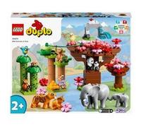 LEGO® DUPLO® 10974 Animaux sauvages d’Asie G