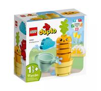 LEGO ® DUPLO 10981 Ma première carotte en pleine croissance