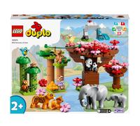 LEGO DUPLO - Animaux sauvages d'Asie - 10974