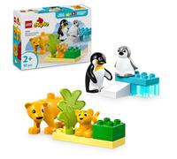 LEGO DUPLO Famiglie di Animali: Pinguini e Leoni, Giochi di Fantasia Educativi p