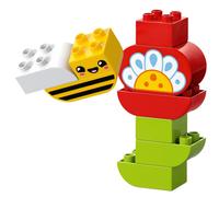 LEGO DUPLO Town 10444 Le jardin créatif et les fleurs