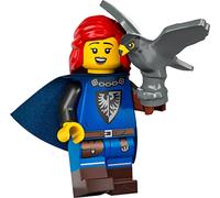 LEGO Figurines à collectionner Falconer Série 24 avec support et accessoires 71037 (emballées)