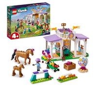 LEGO Friends Le Dressage Équestre - Jouet Enfant 4 Ans avec Chevaux, Poney et Les Mini-Poupées des Personnages Aliya et Mia - Idée Cadeau pour Les Amoureux des Animaux pour Filles et Garçons 41746